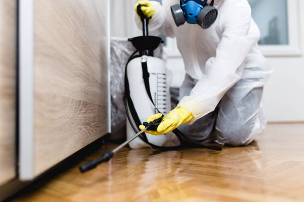 Best Best Pest Control Companies  in Toledo, OR