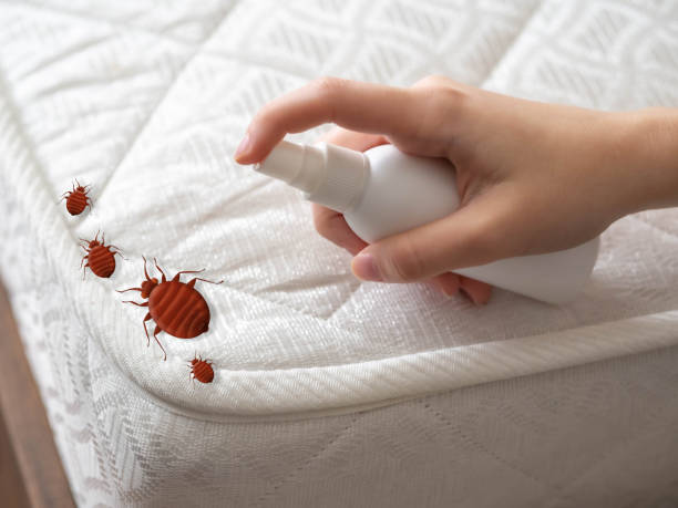 Pest Control for Restaurants in Toledo, OR